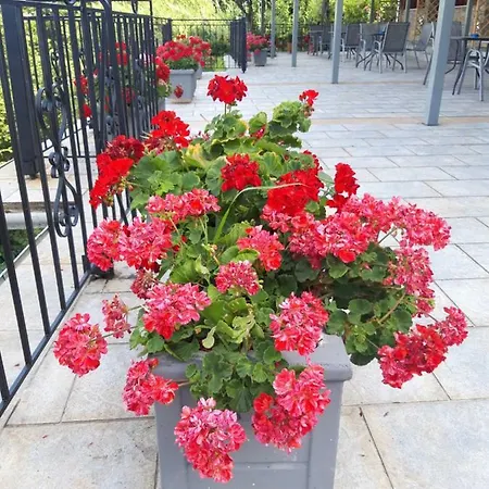 Appartement Ammos Papanero *