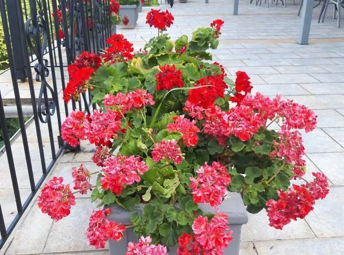 דירה Ammos Papanero *